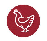 Chicken-icon